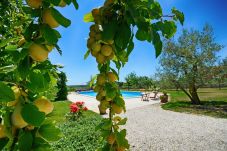 Villa a Pinezici - Villa Benka with pool in Istria